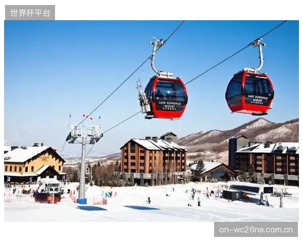 未来三年,供应商将从卖设备转向卖服务,雪场按需订阅索道健康数据分析报告将成为主流 未来三年,供应商将从卖设备转向卖服务,雪场按需订阅索道健康数据分析报告将成为主流